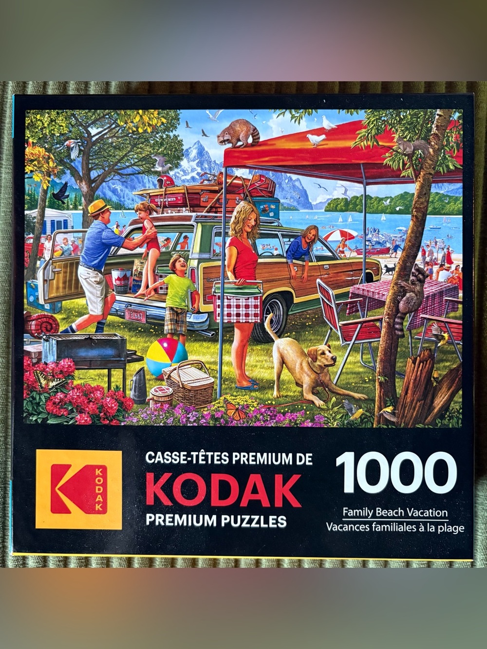 Roseart Kodak 1000 Pc Jigsaw Puzzle Family Beach Vacation